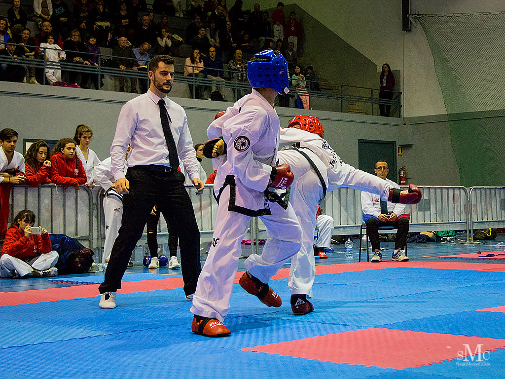 COPA SEUL, 2017  (180).JPG